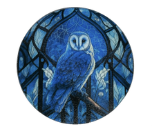 Load image into Gallery viewer, Cutting Board or Trivet Tempered Glass Blue Owl -7.75x7.75-in. round Round
